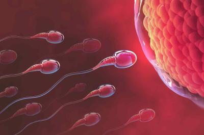 Mythes et réalité sur la fertilité