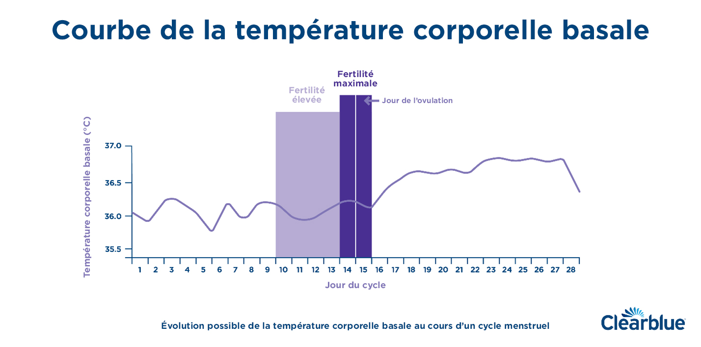 Courbe de température : est-ce fiable pour maîtriser sa fertilité ?