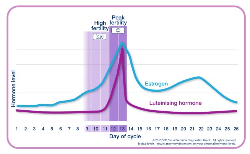 Taux hormonaux typiques pendant le cycle menstruel